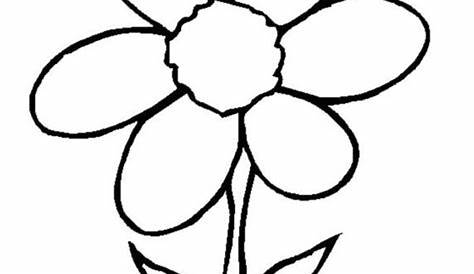flower drawings to trace