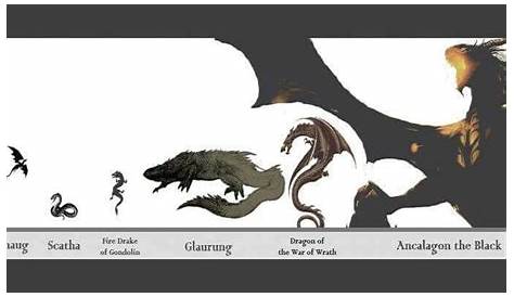 Dragon size comparison | Dragons of middle earth, Dragon, Dragon pictures