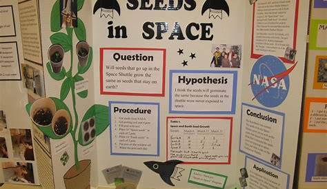 10 Cute Science Fair Project Ideas For 5Th Grade 2024
