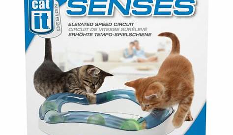 Catit Design Senses Speed Circuit Cat Toy - Walmart.com - Walmart.com