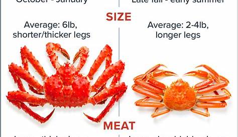 Differences Between Snow Crab vs King Crab | Maine Lobster Now