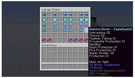 max level protection minecraft