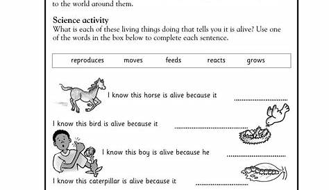 science for first graders worksheets