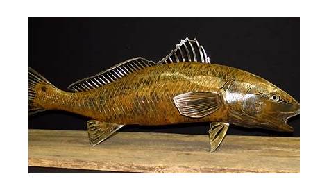 Red Drum - North Carolina State Fish - R Mended Metals, LLC