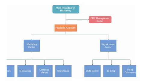 Construction Company Organizational Chart – Introduction and Example