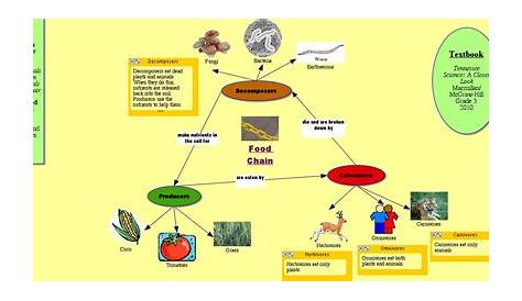 Daniel Radcliffe Hair: food chain diagram