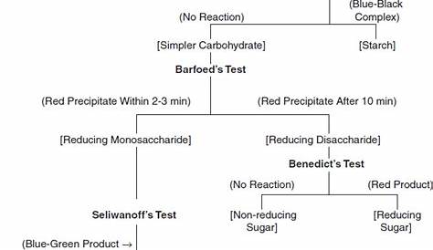 Tests for Carbohydrates- Principle, Procedures, Result, Interpretation