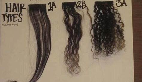 hair types chart 1-4