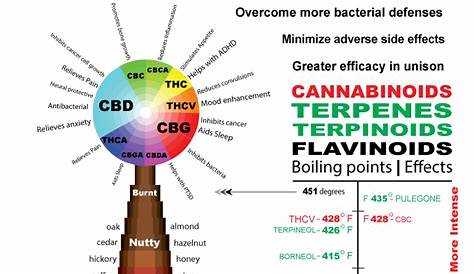 How to Achieve the Entourage Effect by controlled temperature cannabis