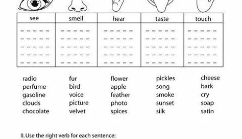 The Five Senses Worksheets Pdf | Five senses worksheet, 5 senses