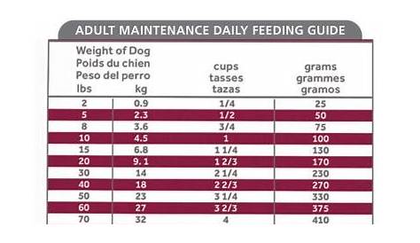 hill's i/d feeding instructions