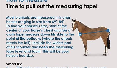 when to blanket a horse chart