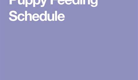 Puppy Feeding Schedule - How Often Should I Feed My Puppy? | Puppy