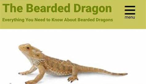 Printable Bearded Dragon Food Chart