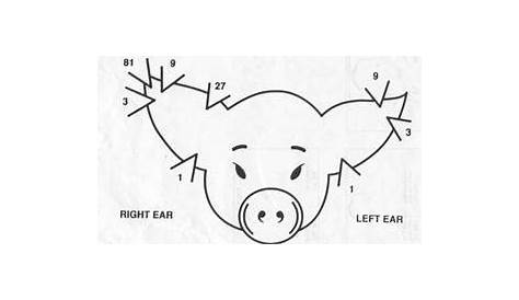 swine ear notching worksheets
