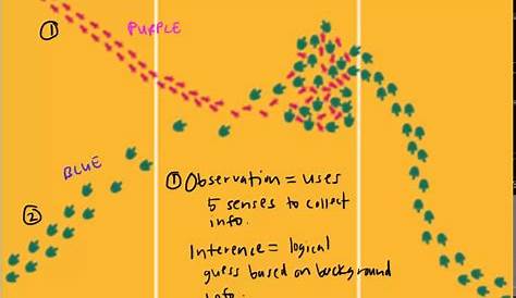 Observation vs Inference - YouTube