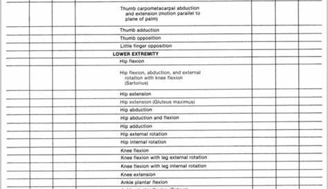 manual muscle test chart