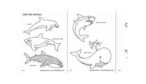 sea creature printable sea animals