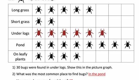 graphs and charts worksheets