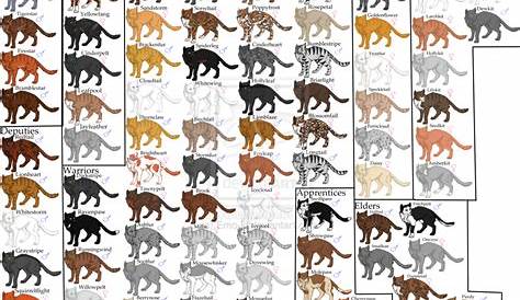 warrior cats age chart