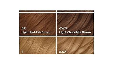 clairol nice and easy hair color chart