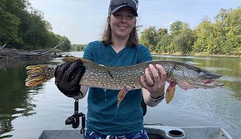 Pike Fishing The Grand River | Werkman Outfitters