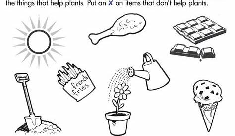 science for kindergarten worksheets