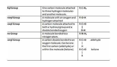 Compare The Chemical Structure And Functions Of Carbohydrates Lipids