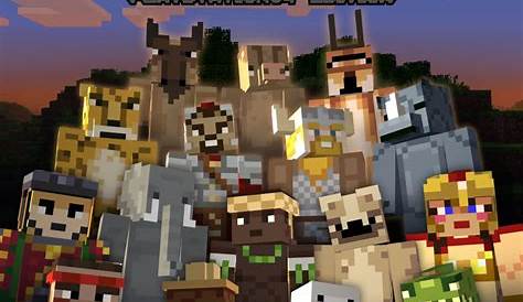 what is minecraft deluxe edition