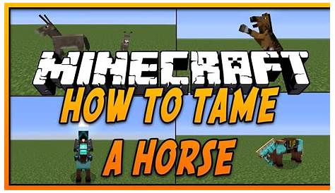 how to ride a horse in minecraft