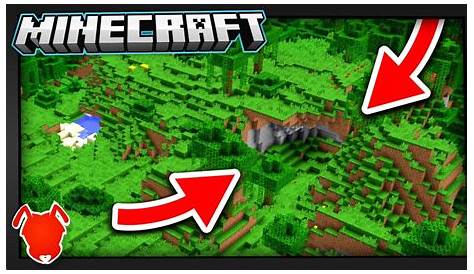 what is the rarest minecraft biome