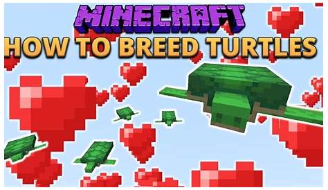 Minecraft 1.13 How To Breed Turtles! & Other Things I Missed From