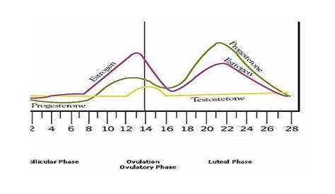 estrogen and lh surge chart