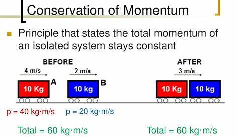 diagram of car turning momentum