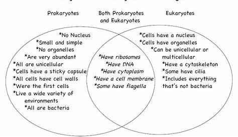Prokaryote vs Eukaryote | 7th grade Cells | Pinterest | Venn diagrams