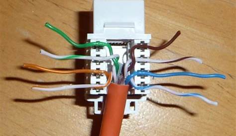 Cat6 Module Wiring Diagram - Wiring Diagram and Schematics