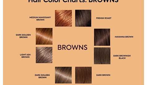 brown age beautiful hair color chart