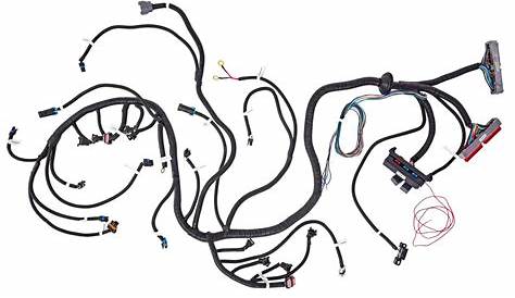 JEGS 555-10414 GM LS Stand Alone Wire Harness 1999-2006 4.8-8.1L GM