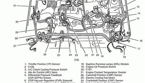 99 Ford Mustang 3.8 Firing Order | Wiring and Printable