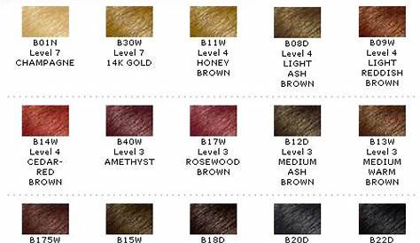 black hair dye color chart