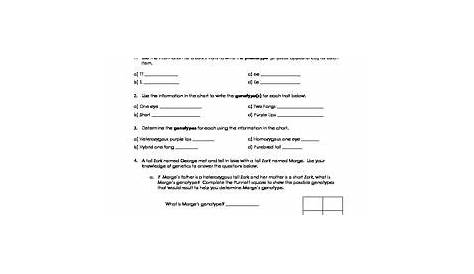genotype and phenotype practice worksheets answer key