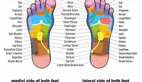 picture of reflexology foot chart
