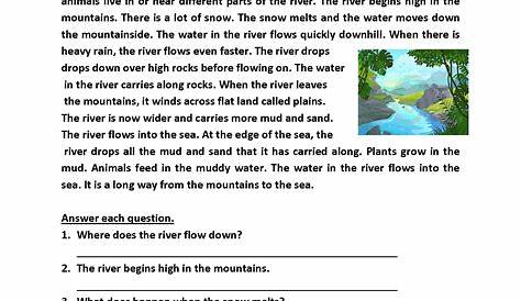 grade 5 reading comprehension worksheets