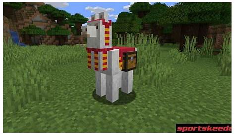 what do you put on llama in minecraft