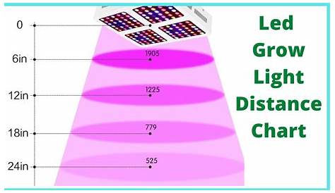 Led Grow Light Distance Chart-Every Grower Must Know