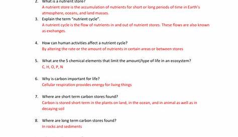 Carbon Cycle Worksheet Answer Key — db-excel.com