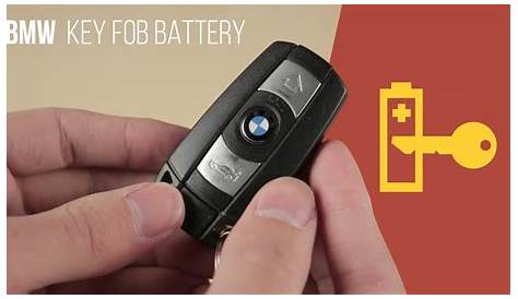 Starting point unknown swallow bmw key fob battery replacement 2017