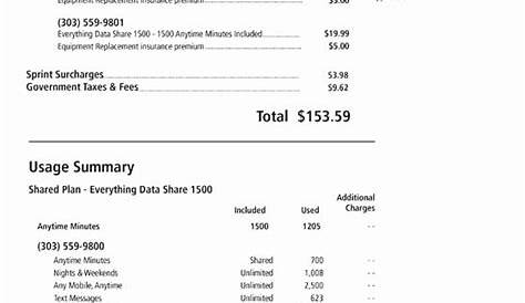Fake Cell Phone Bill Template Elegant at&t Cell Phone Bill Sample Bing