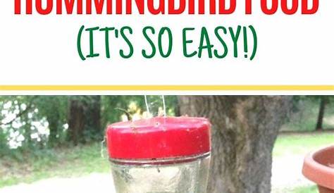 How to Make Hummingbird Food - Thrifty Jinxy