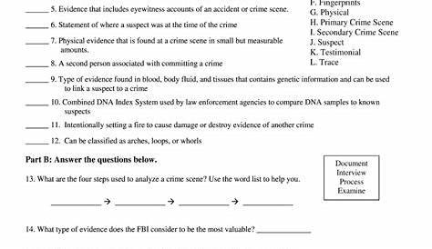 forensic science worksheet measuring length